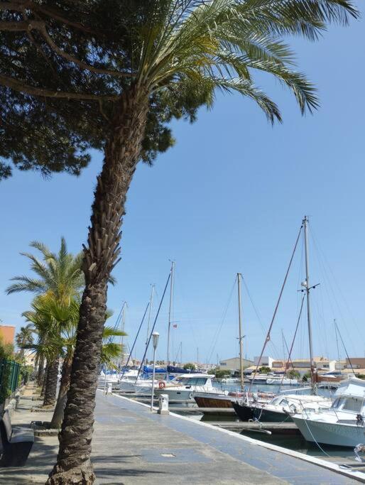 Studio 4 Couchages Avec Piscine D'Ete Vue Port แอกด์ ภายนอก รูปภาพ